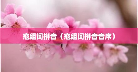 寇组词拼音（寇组词拼音音序）