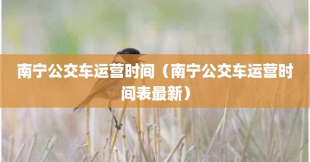 南宁公交车运营时间（南宁公交车运营时间表最新）