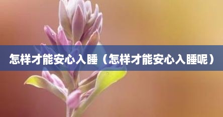 怎样才能安心入睡（怎样才能安心入睡呢）