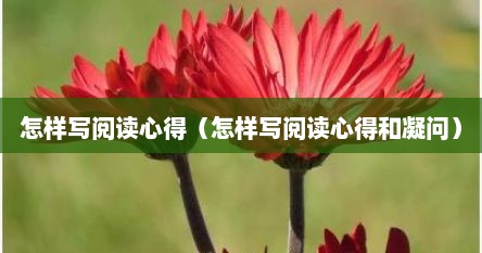 怎样写阅读心得（怎样写阅读心得和凝问）