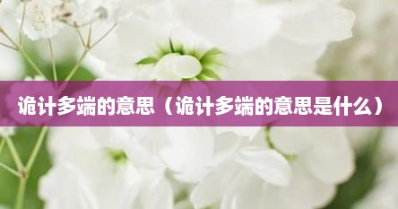 诡计多端的意思（诡计多端的意思是什么）