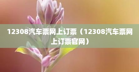 12308汽车票网上订票（12308汽车票网上订票官网）