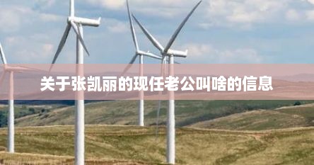 张凯丽老公个人简介（张凯丽老公个人资料简介）