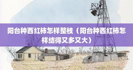阳台种西红柿怎样整枝（阳台种西红柿怎样结得又多又大）