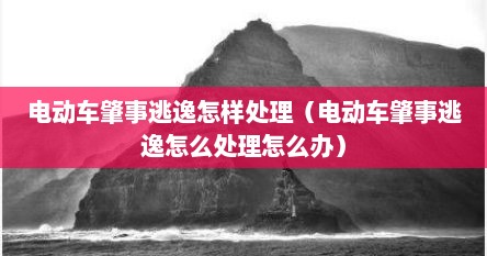 电动车肇事逃逸怎样处理（电动车肇事逃逸怎么处理怎么办）