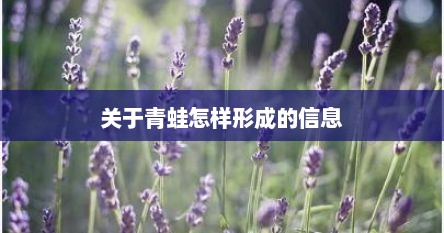 关于青蛙怎样形成的信息