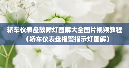 轿车仪表盘故障灯图解大全图片视频教程（轿车仪表盘报警指示灯图解）