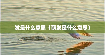 发是什么意思（萌发是什么意思）