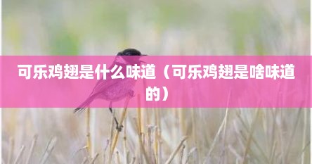 可乐鸡翅是什么味道（可乐鸡翅是啥味道的）