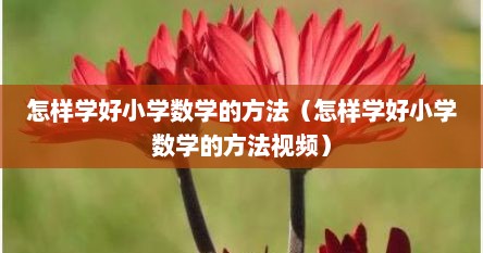 怎样学好小学数学的方法（怎样学好小学数学的方法视频）