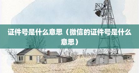 证件号是什么意思（微信的证件号是什么意思）