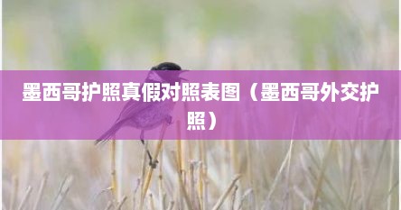 墨西哥护照真假对照表图（墨西哥外交护照）