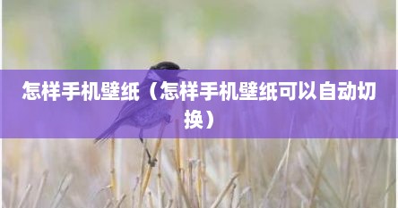 怎样手机壁纸（怎样手机壁纸可以自动切换）
