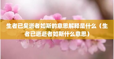 生者已矣逝者如斯的意思解释是什么（生者已逝逝者如斯什么意思）