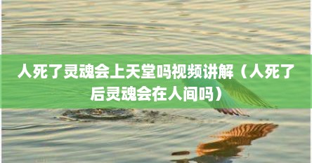 人死了灵魂会上天堂吗视频讲解（人死了后灵魂会在人间吗）