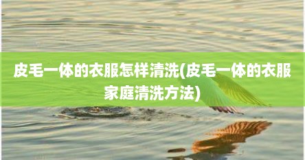 皮毛一体的衣服怎样清洗(皮毛一体的衣服家庭清洗方法)