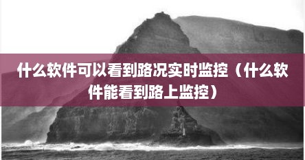 什么软件可以看到路况实时监控（什么软件能看到路上监控）