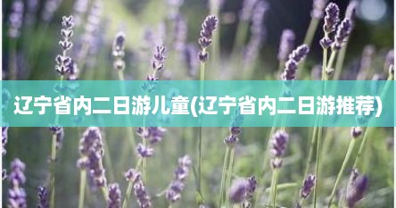 辽宁省内二日游儿童(辽宁省内二日游推荐)