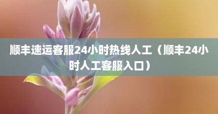 顺丰速运客服24小时热线人工（顺丰24小时人工客服入口）