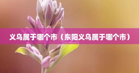 义乌属于哪个市（东阳义乌属于哪个市）