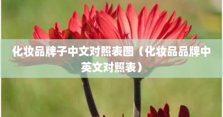 化妆品牌子中文对照表图（化妆品品牌中英文对照表）