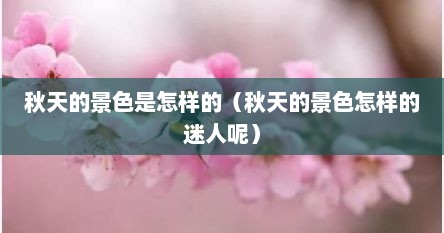 秋天的景色是怎样的（秋天的景色怎样的迷人呢）