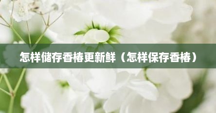 怎样储存香椿更新鲜（怎样保存香椿）