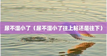 尿不湿小了（尿不湿小了往上粘还是往下）