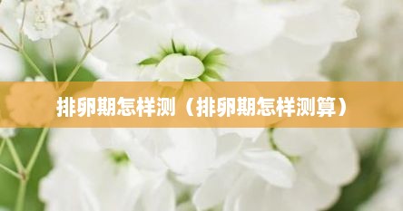 排卵期怎样测（排卵期怎样测算）