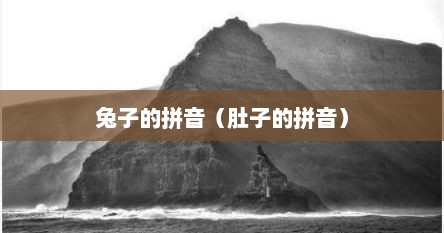 兔子的拼音怎么念(兔子的拼音怎么拼写) 兔子的拼音怎么念(兔子的拼音怎么拼写)