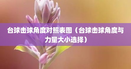 台球击球角度对照表图（台球击球角度与力量大小选择）