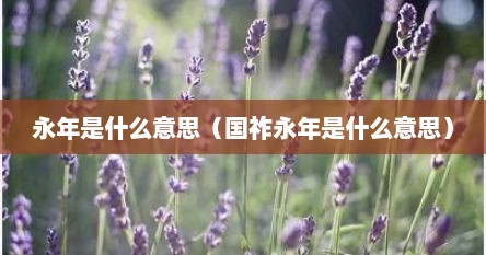 永年是什么意思（国祚永年是什么意思）
