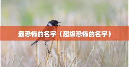 最恐怖的名字（超级恐怖的名字）