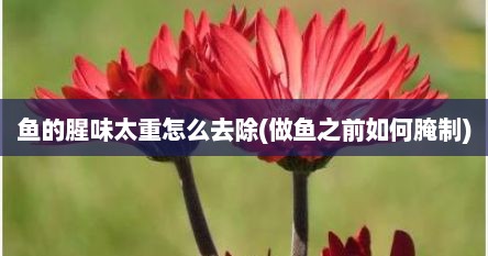 鱼的腥味太重怎么去除(做鱼之前如何腌制)