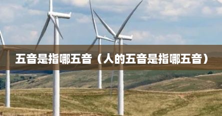 五音是指哪五音（人的五音是指哪五音）