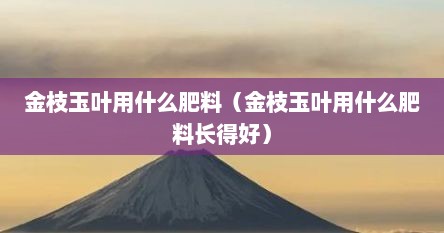 金枝玉叶用什么肥料（金枝玉叶用什么肥料长得好）