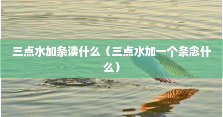 三点水加条读什么（三点水加一个条念什么）
