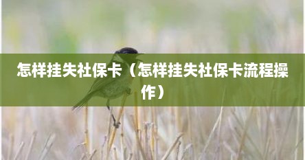 怎样挂失社保卡（怎样挂失社保卡流程操作）