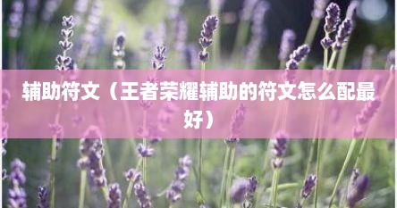 辅助符文（王者荣耀辅助的符文怎么配最好）