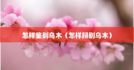 怎样鉴别乌木（怎样辩别乌木）