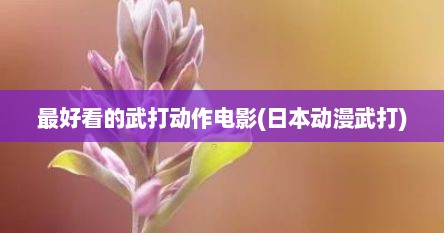 最好看的武打动作电影(日本动漫武打)