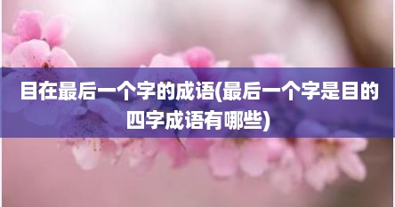 目在最后一个字的成语(最后一个字是目的四字成语有哪些)