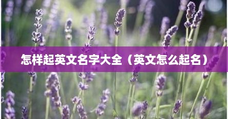 怎样起英文名字大全（英文怎么起名）