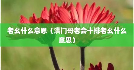 老幺什么意思（洪门哥老会十排老幺什么意思）