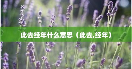 此去经年什么意思（此去,经年）