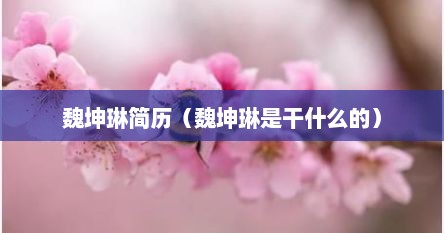 魏坤琳简历（魏坤琳是干什么的）