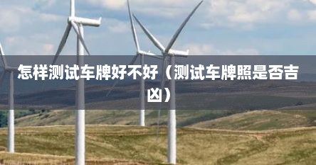怎样测试车牌好不好（测试车牌照是否吉凶）