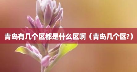 青岛有几个区都是什么区啊（青岛几个区?）
