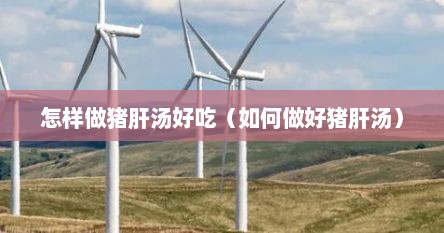 怎样做猪肝汤好吃（如何做好猪肝汤）