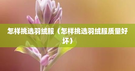 怎样挑选羽绒服（怎样挑选羽绒服质量好坏）